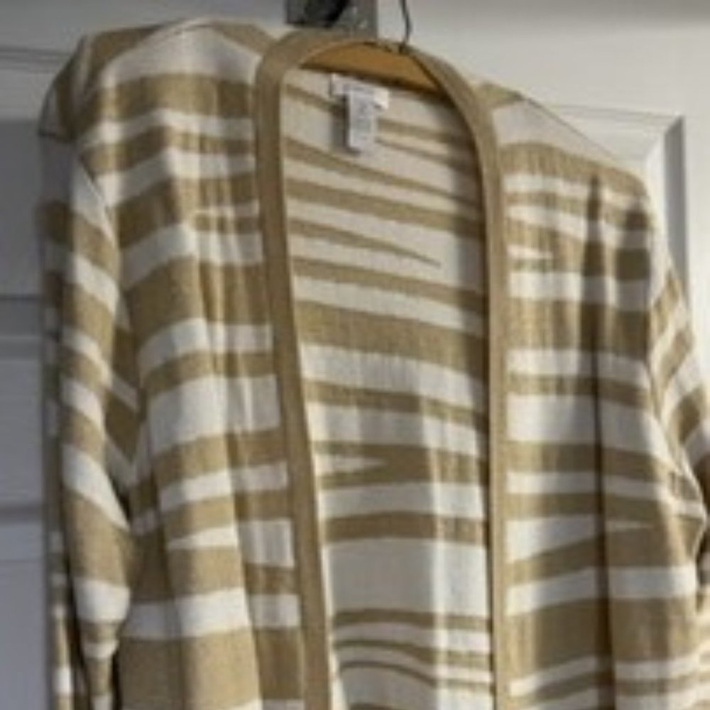 Sweater from Chico's